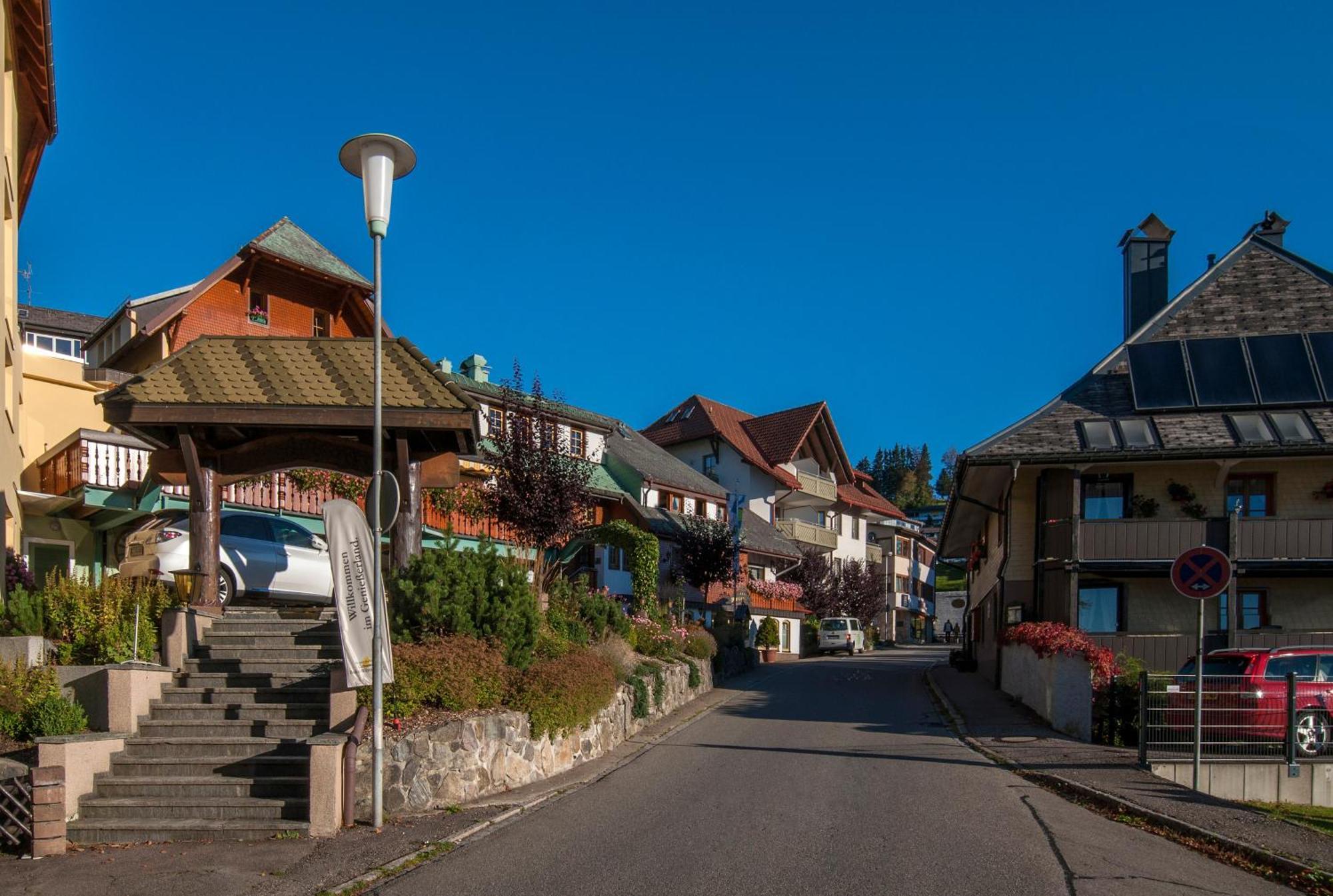 Apartment 06 - Ferienresidenz Roseneck, 2 Schlafzimmer, Mit Schwimmbad In Todtnauberg Bei Feldberg Екстериор снимка