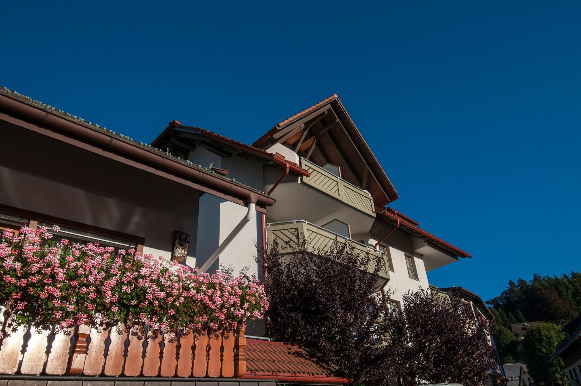 Apartment 06 - Ferienresidenz Roseneck, 2 Schlafzimmer, Mit Schwimmbad In Todtnauberg Bei Feldberg Екстериор снимка