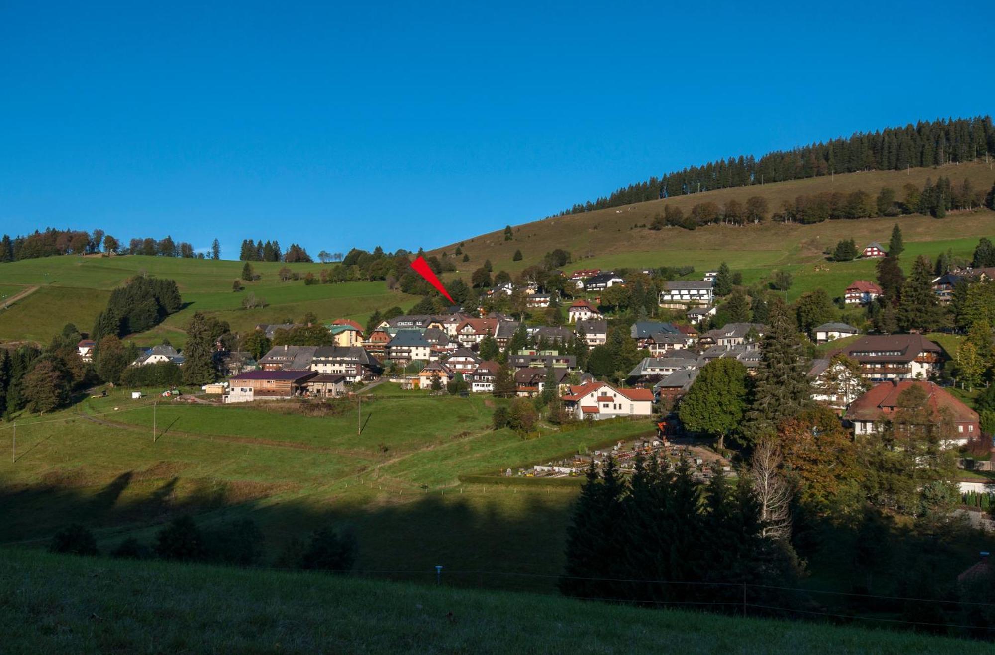 Apartment 06 - Ferienresidenz Roseneck, 2 Schlafzimmer, Mit Schwimmbad In Todtnauberg Bei Feldberg Екстериор снимка