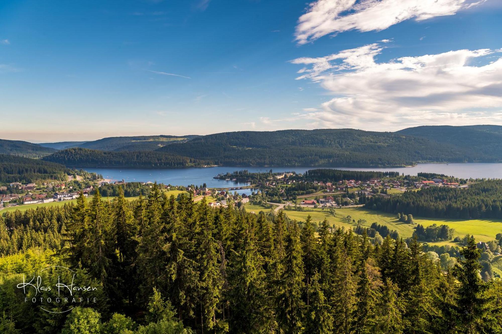 Apartment 06 - Ferienresidenz Roseneck, 2 Schlafzimmer, Mit Schwimmbad In Todtnauberg Bei Feldberg Екстериор снимка